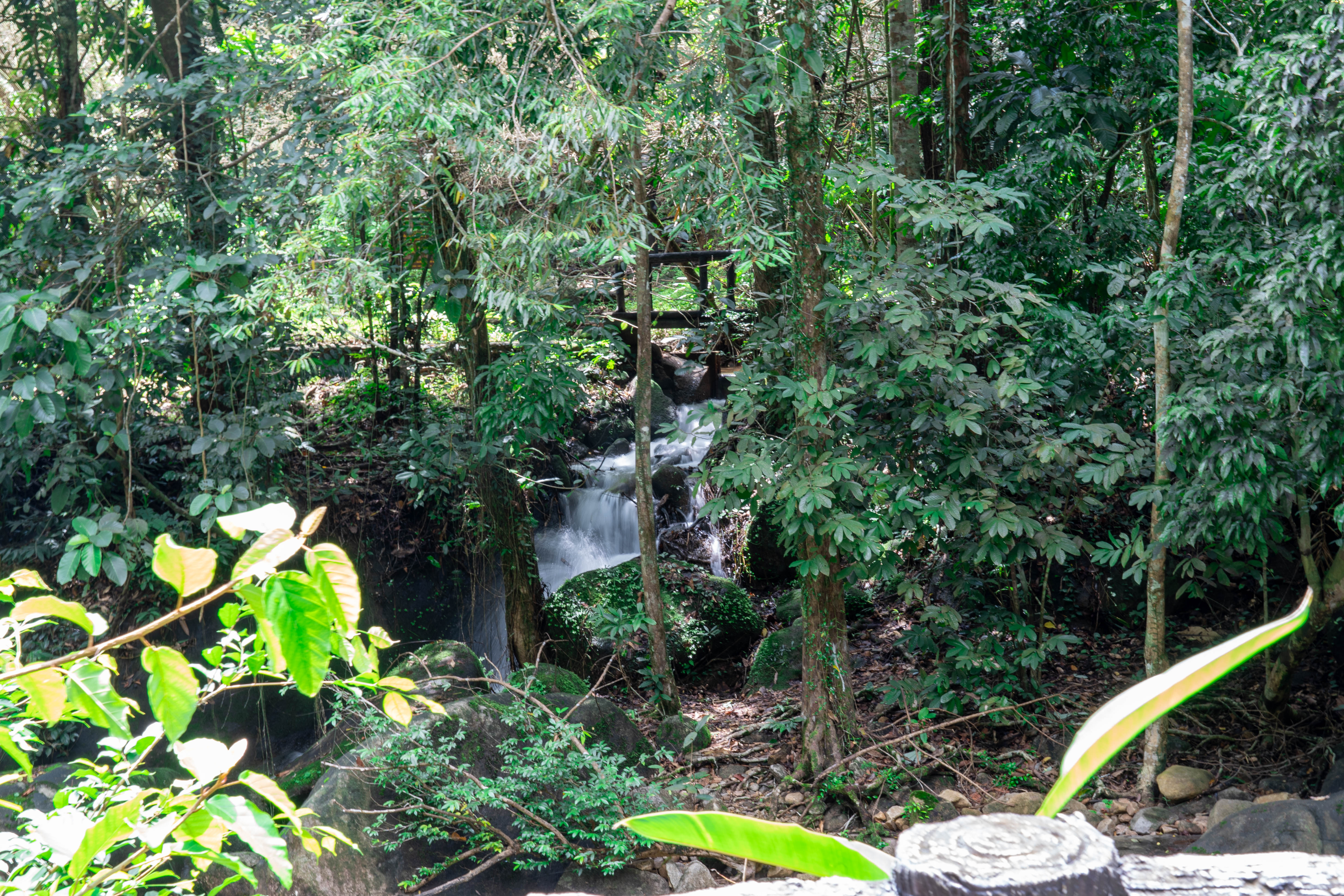 อุทยานแห่งชาติน้ำตกพลิ้ว ภาพที่ 4