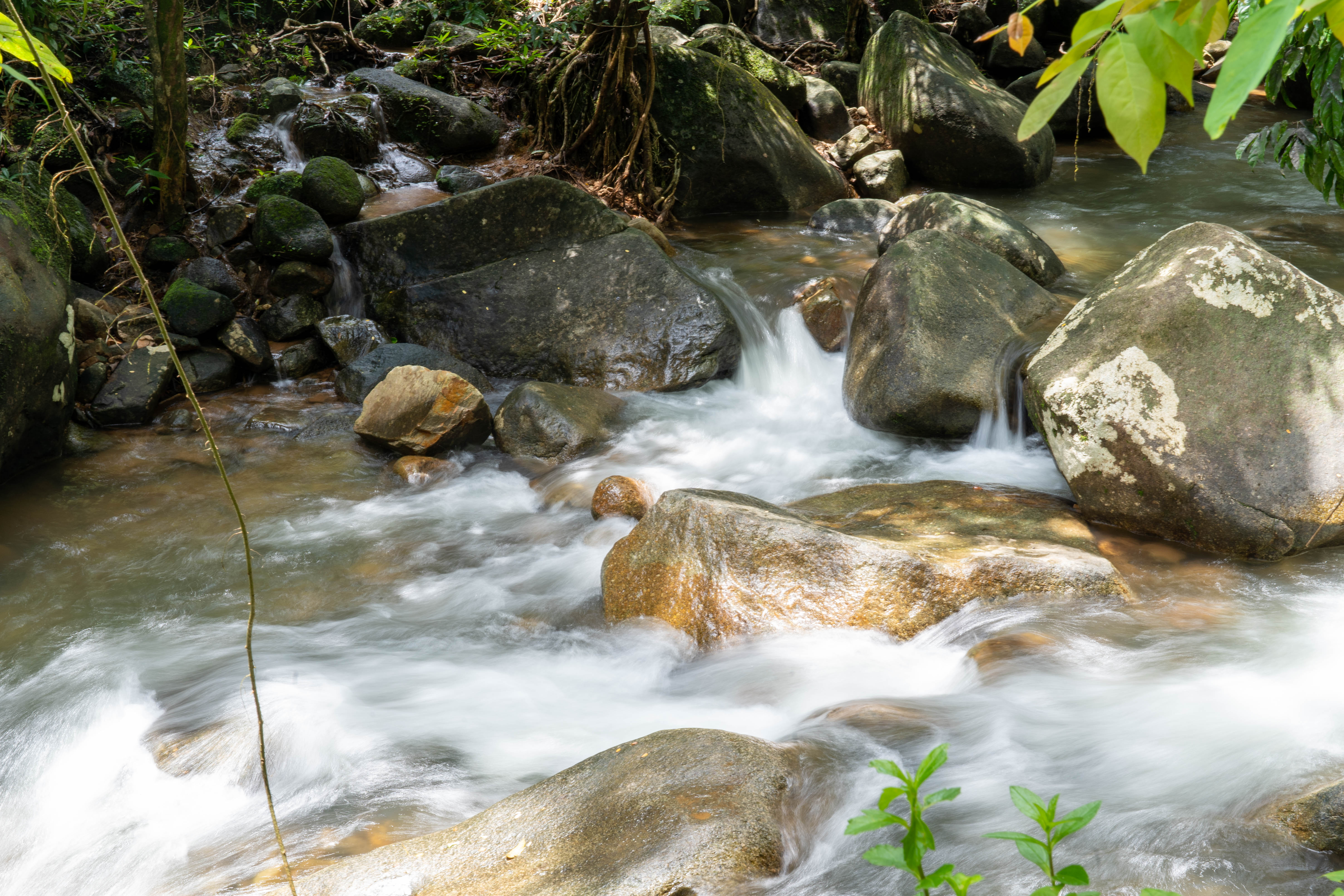 อุทยานแห่งชาติน้ำตกพลิ้ว ภาพที่ 5