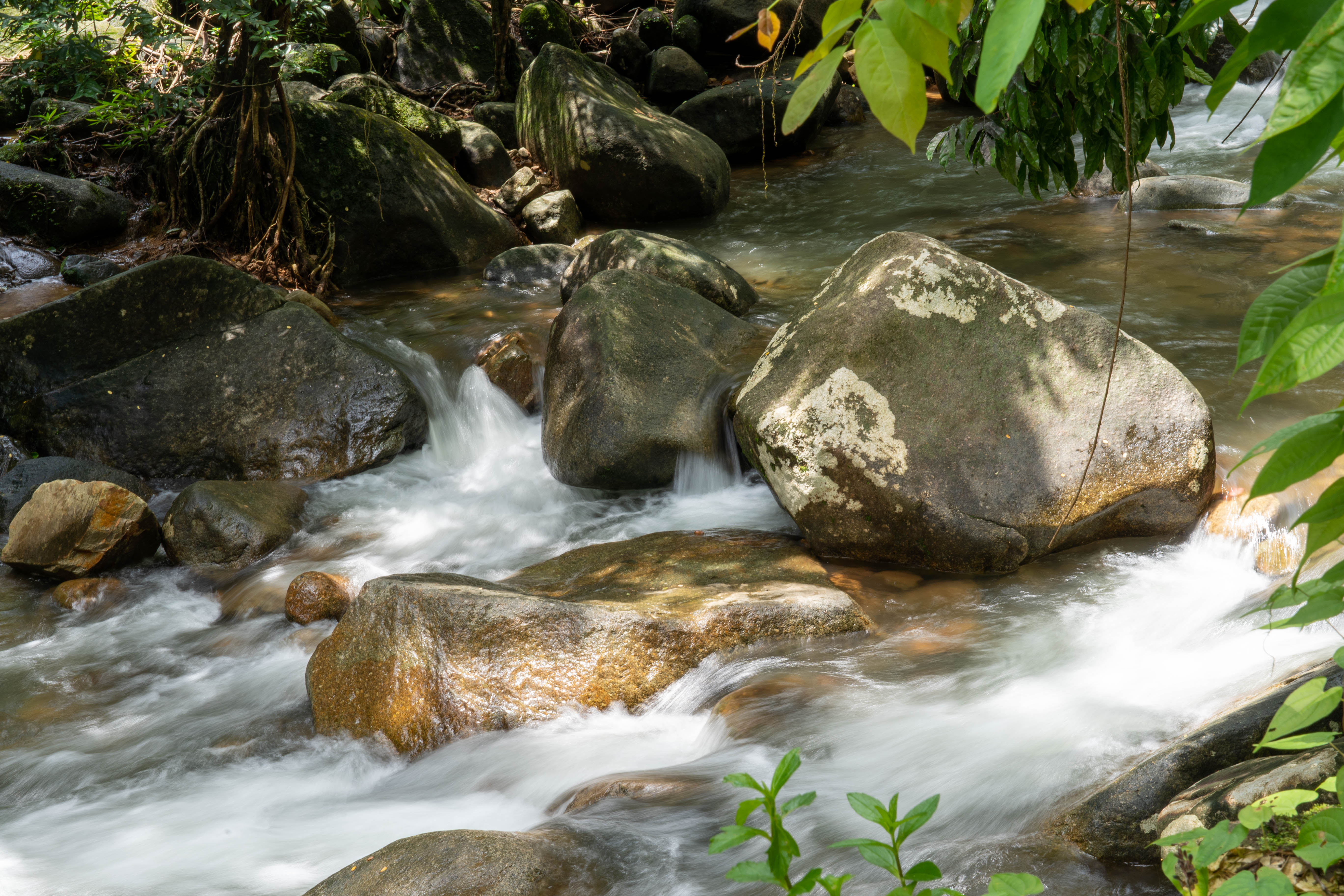 อุทยานแห่งชาติน้ำตกพลิ้ว ภาพที่ 6