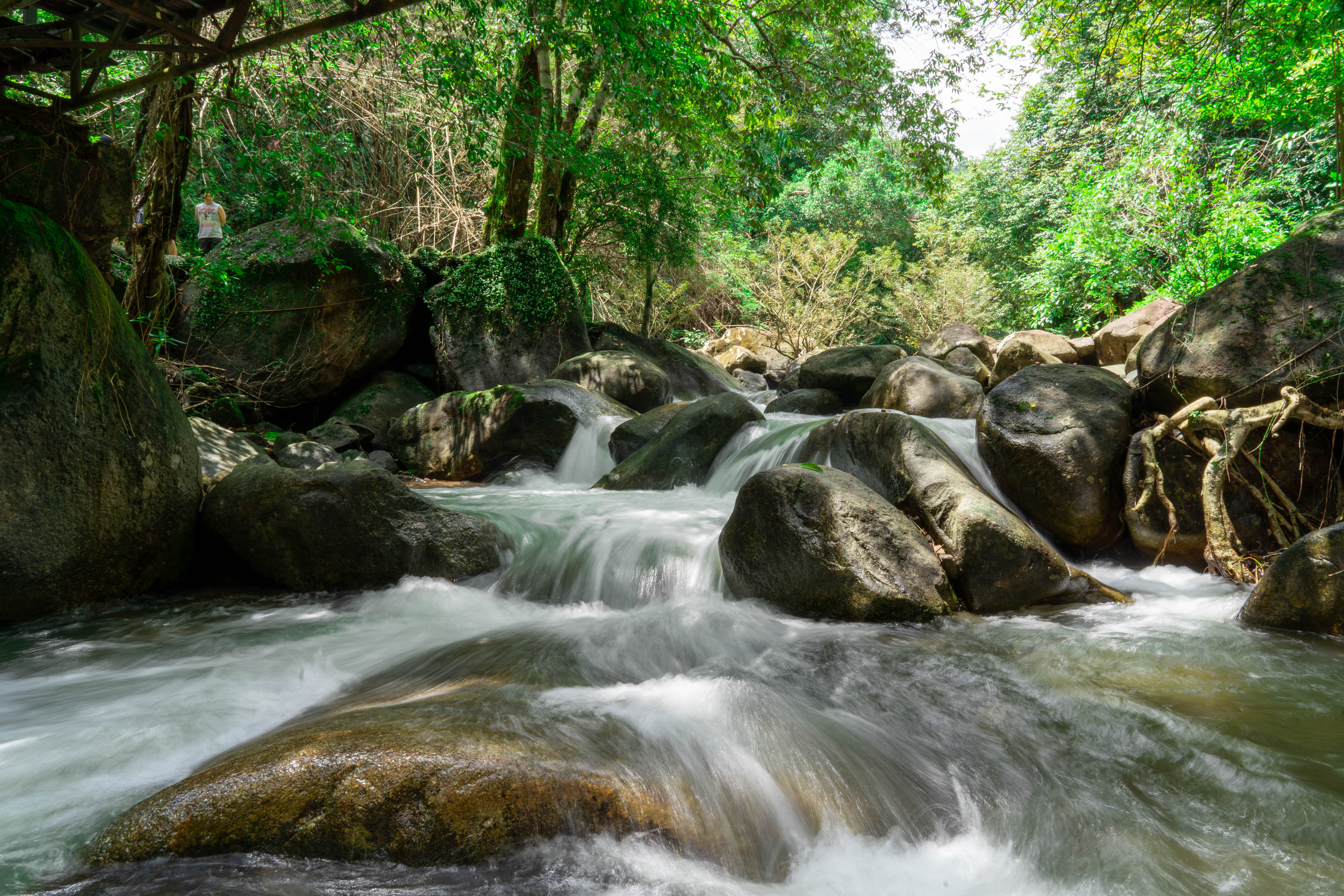 อุทยานแห่งชาติน้ำตกพลิ้ว ภาพที่ 7