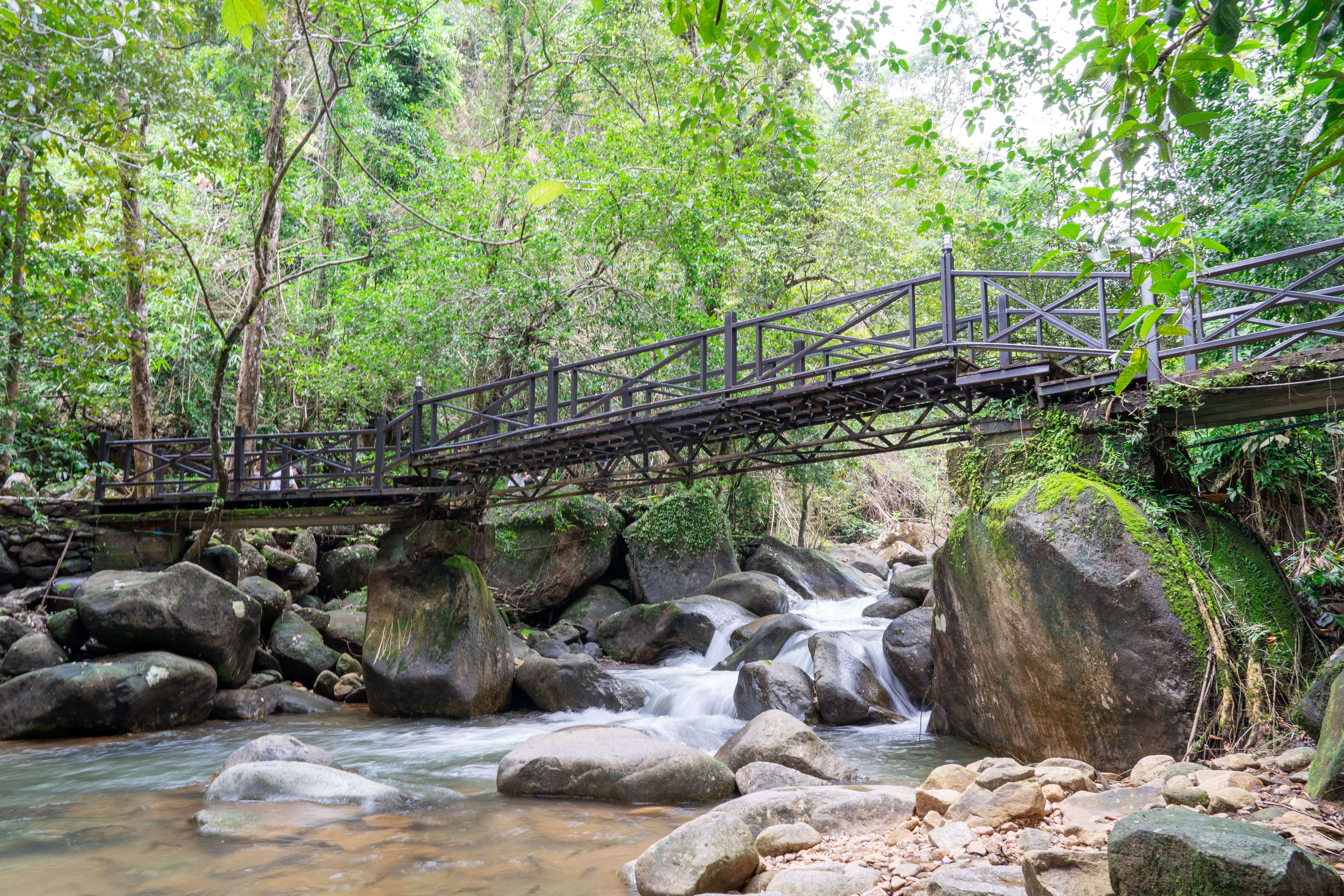 อุทยานแห่งชาติน้ำตกพลิ้ว ภาพที่ 8