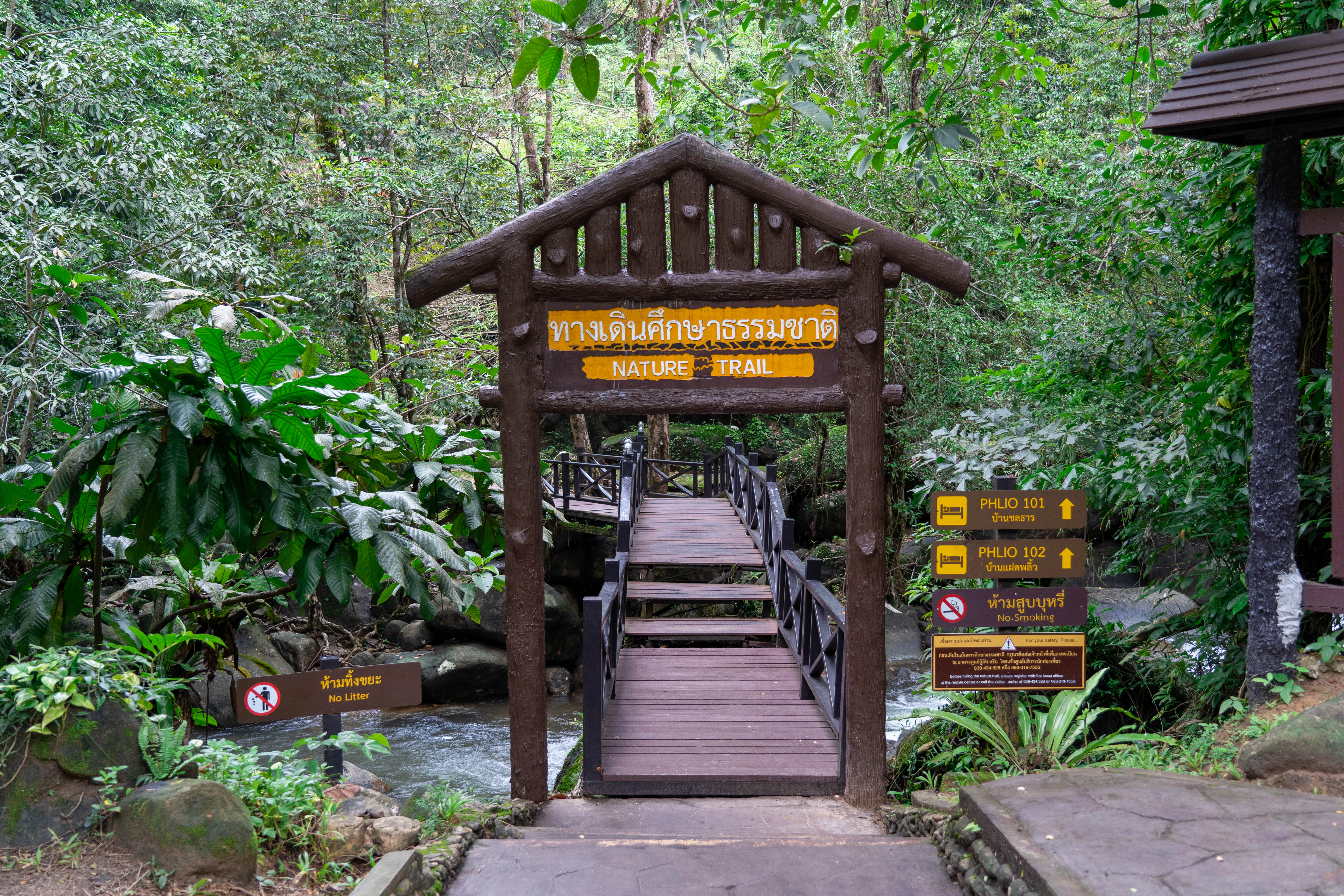 อุทยานแห่งชาติน้ำตกพลิ้ว ภาพที่ 10