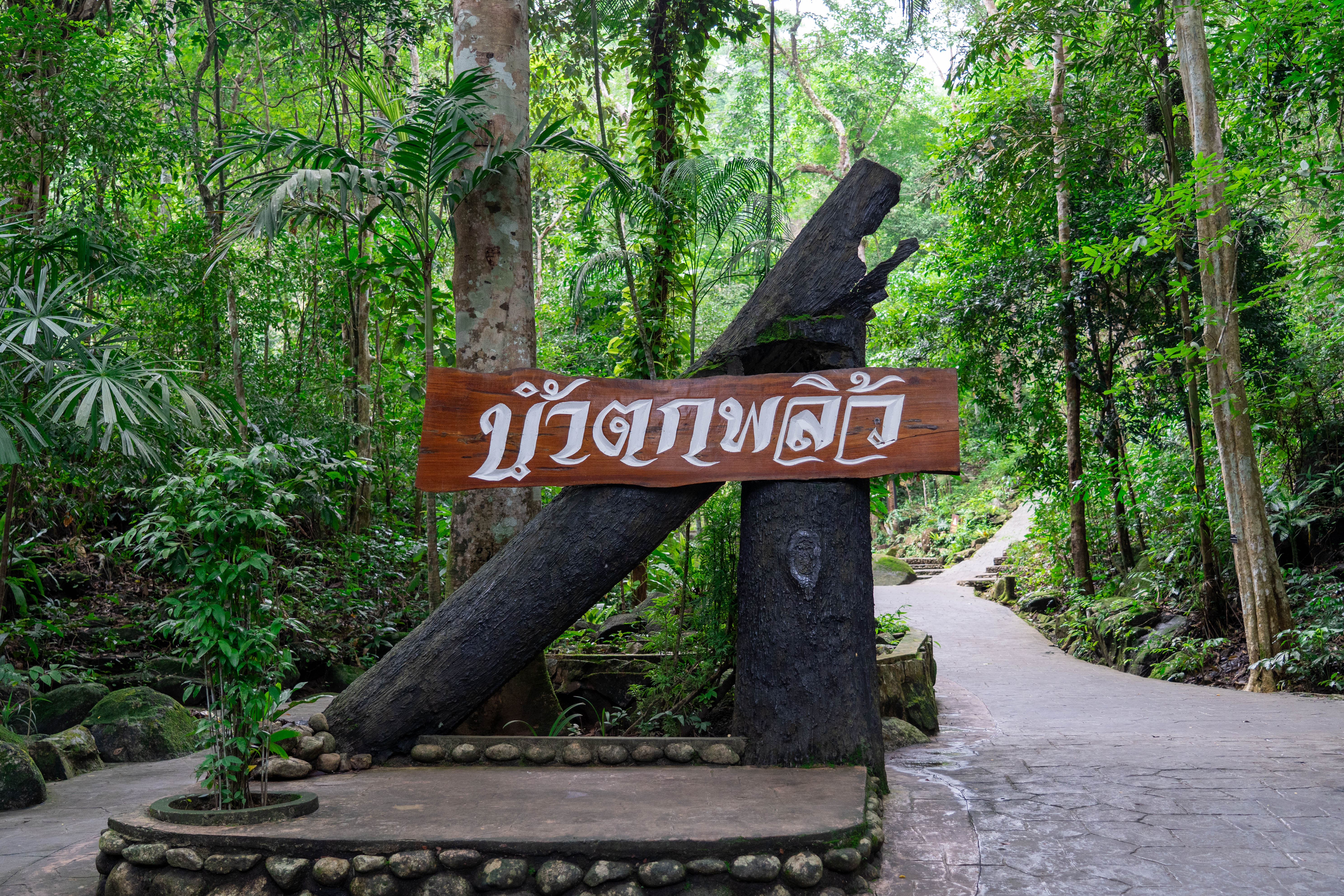 อุทยานแห่งชาติน้ำตกพลิ้ว ภาพที่ 12