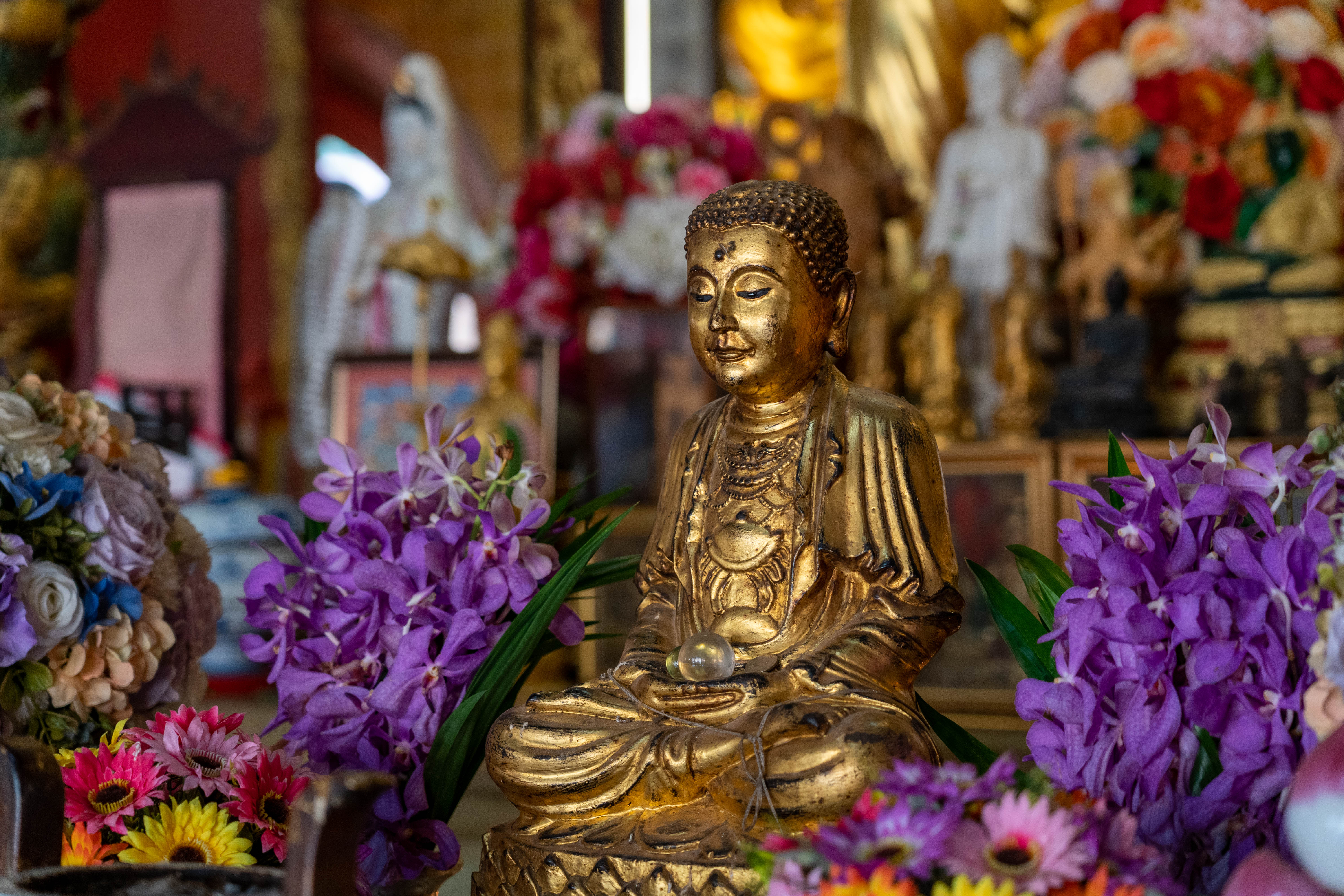 วัดมังกรบุปผาราม ภาพที่ 9